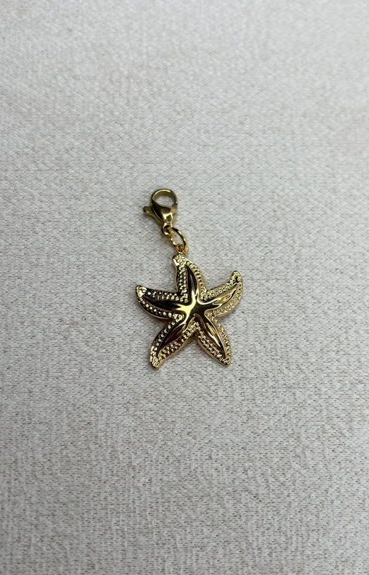 Charm Nesira