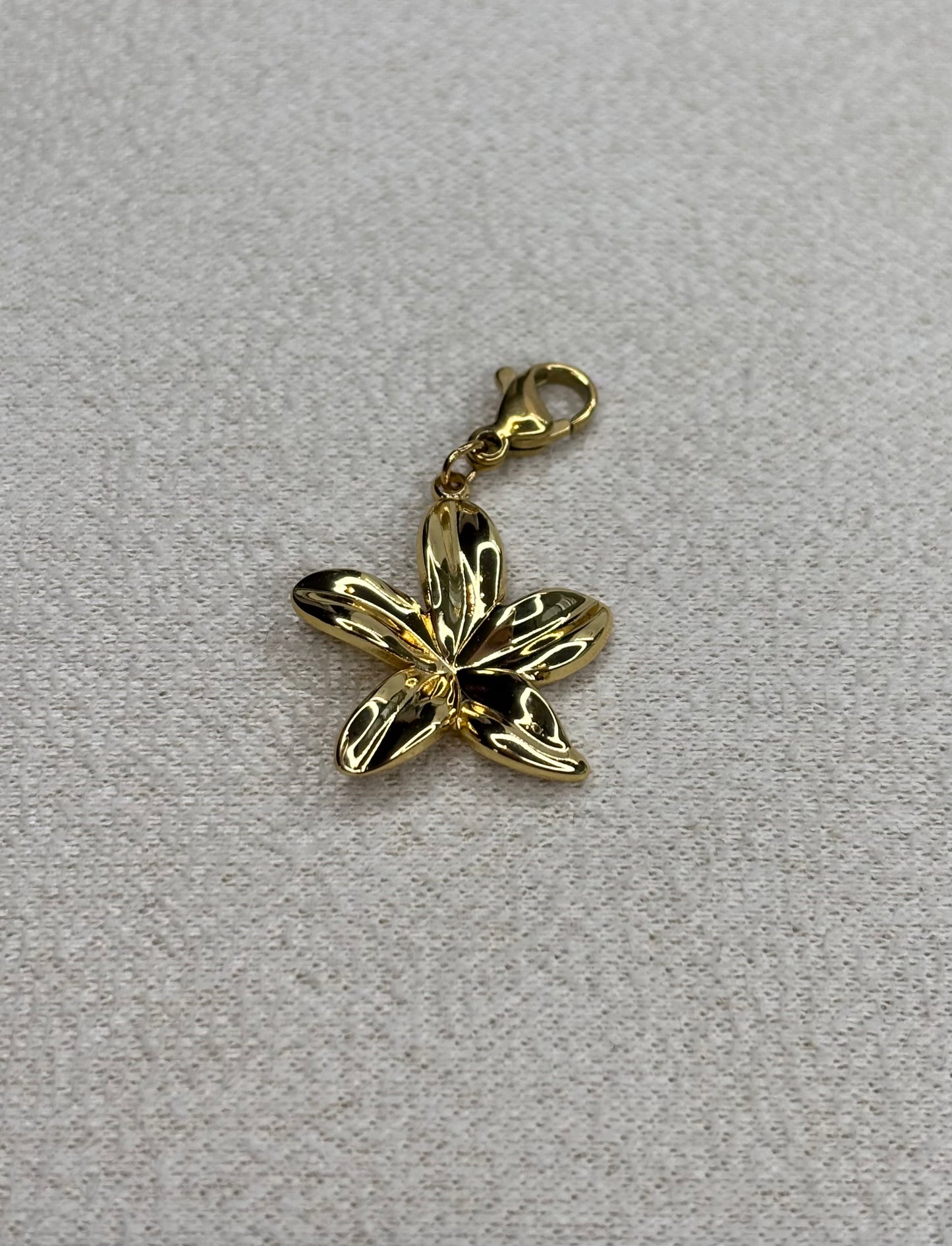 Charm Florena
