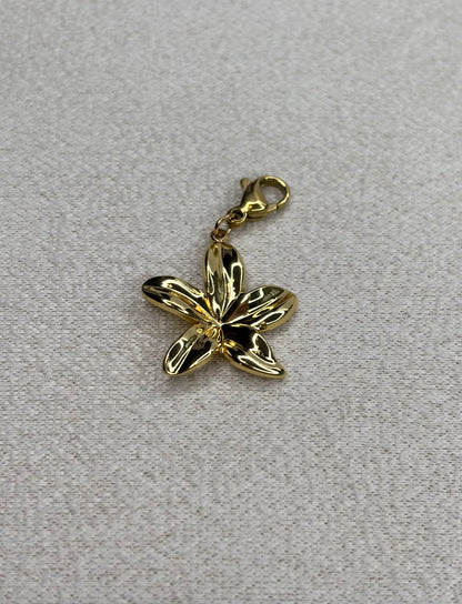 Charm Florena