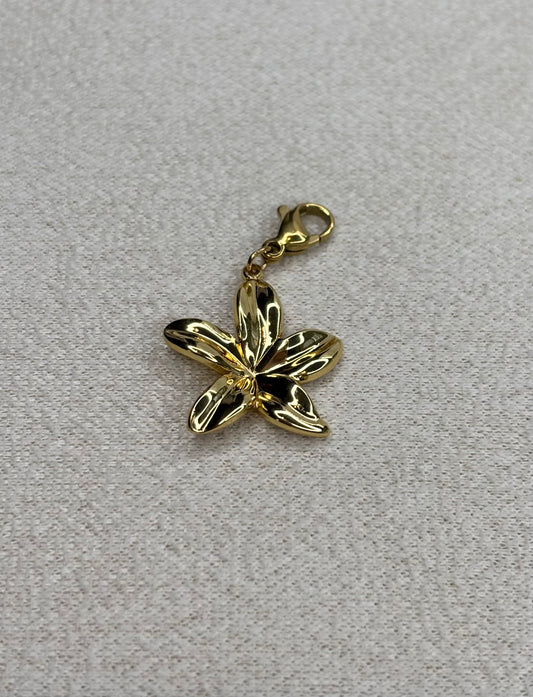 Charm Florena