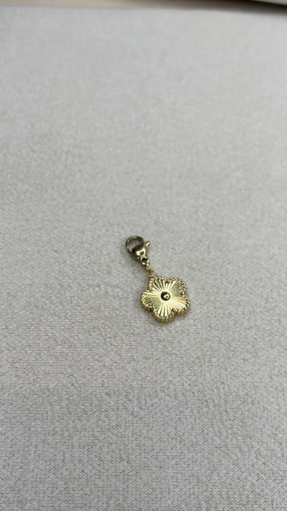 Charm Iconysa