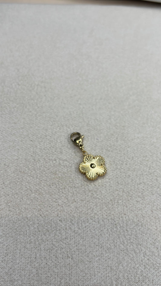 Charm Iconysa