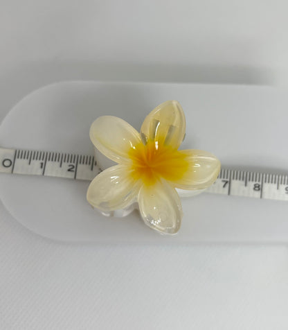 Barette Flora mini
